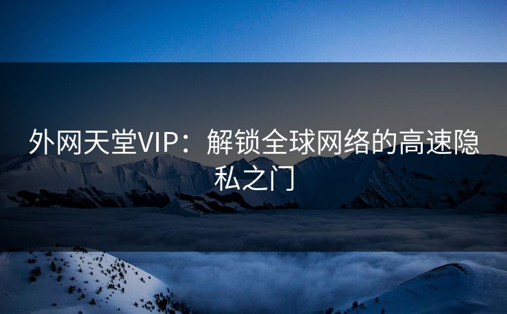 外网天堂VIP：解锁全球网络的高速隐私之门